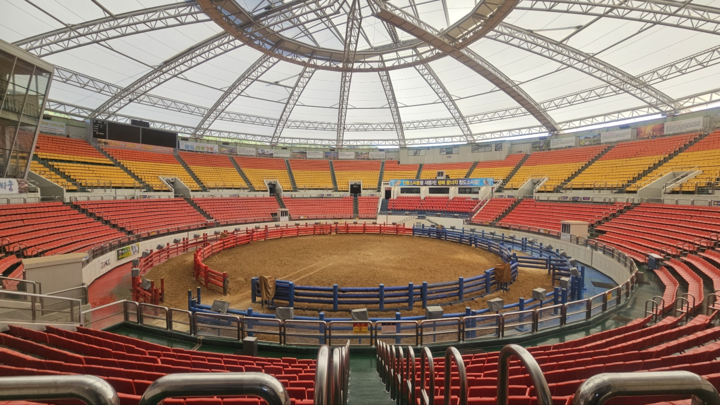 경북 청도소싸움경기장 내부