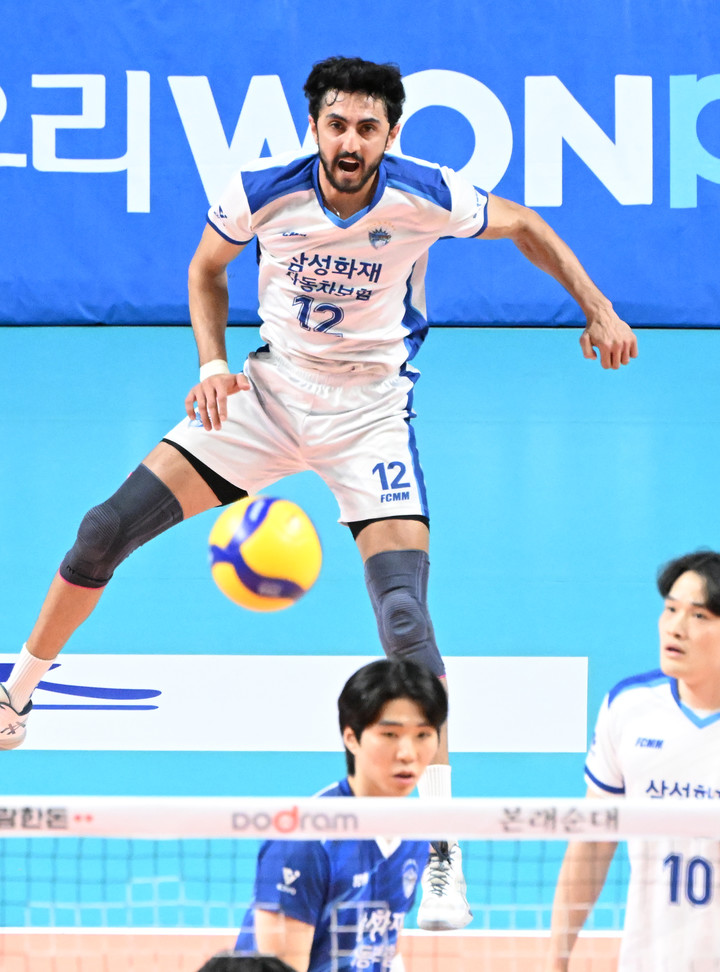 삼성화재 파즐리