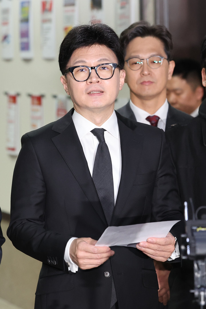 국민의힘 한동훈 대표