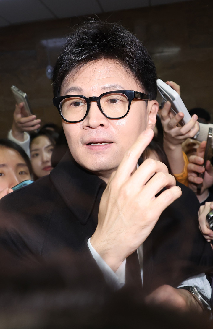 국민의힘 한동훈 대표