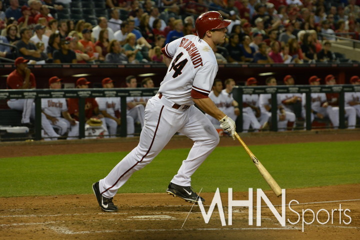 (폴 골드슈미트)