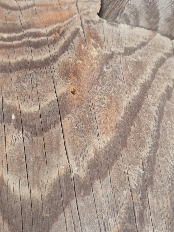 구멍이 생긴 모습/연합뉴스