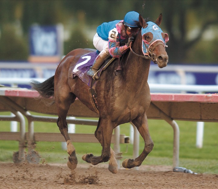 현역 경주마 시절의 ‘볼포니’.(사진 한국마사회 제공)