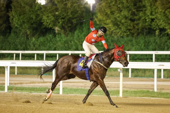 지난해 문화일보배 우승마 ‘실버레인’(사진 한국마사회 제공)