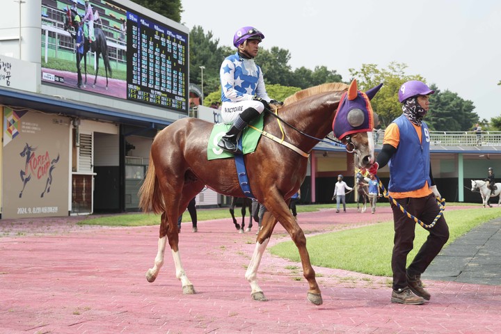 지난해 과천시장배에 출전한 ‘롱런불패’(사진 한국마사회 제공)