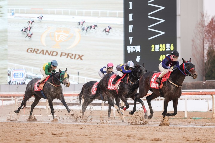 지난해 열린 그랑프리 경주에서 ‘글로벌히트’가 가장 먼저 결승선을 통과하고 있다.(사진 한국마사회 제공)