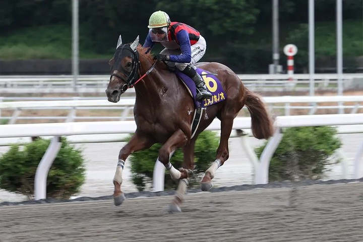 유메노호노오.(사진 한국마사회 제공)