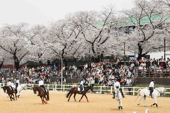 시민들이 렛츠런파크 서울에서 승마를 구경하고 있다.(사진 한국마사회 제공)