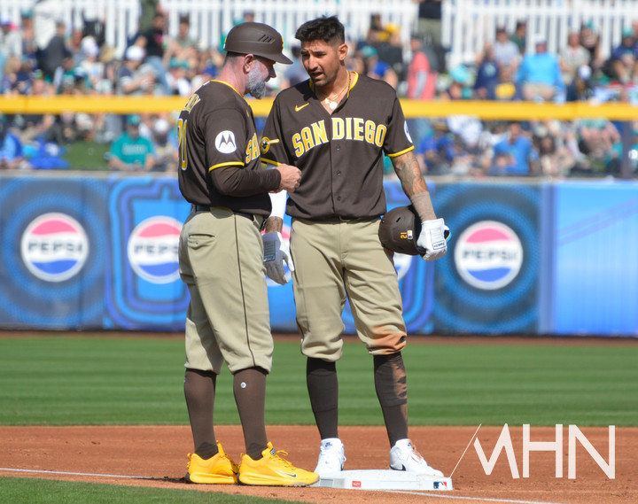 (닉 카스테야노스)