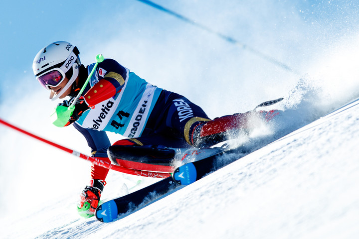 알파인 스키 정동현