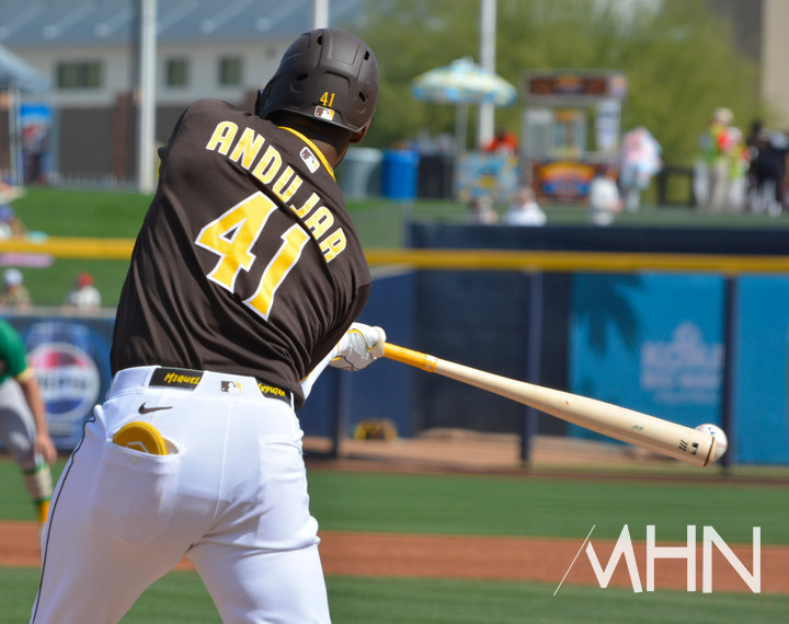 (미겔 안두하가 스프링캠프 경기서 타격을 하고 있다)