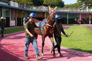 겨울 경주로의 뜨거운 승부...'MBN배' 우승마는 누구? - 뉴스 썸네일 이미지