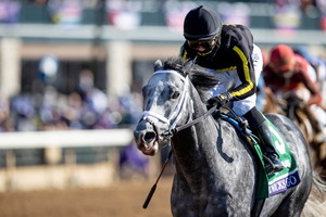 혈통이 역사를 만든다...제2의 '메니피'를 꿈꾸는 '닉스고' 화제 - 뉴스 썸네일 이미지