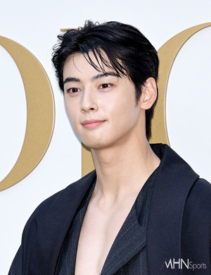 Cha Eun-woo Faces Allegations of 20 Billion Won Tax Evasion Linked to "Mother's Company" While Serving in Military