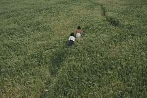 잔인한 역사적 비극 재조명→관객 극찬 쏟아지며 평점 9.02 달성한 韓 작품 ('내 이름은')